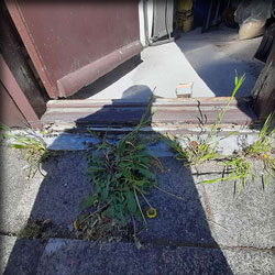 Franchimont Totaalonderhoud